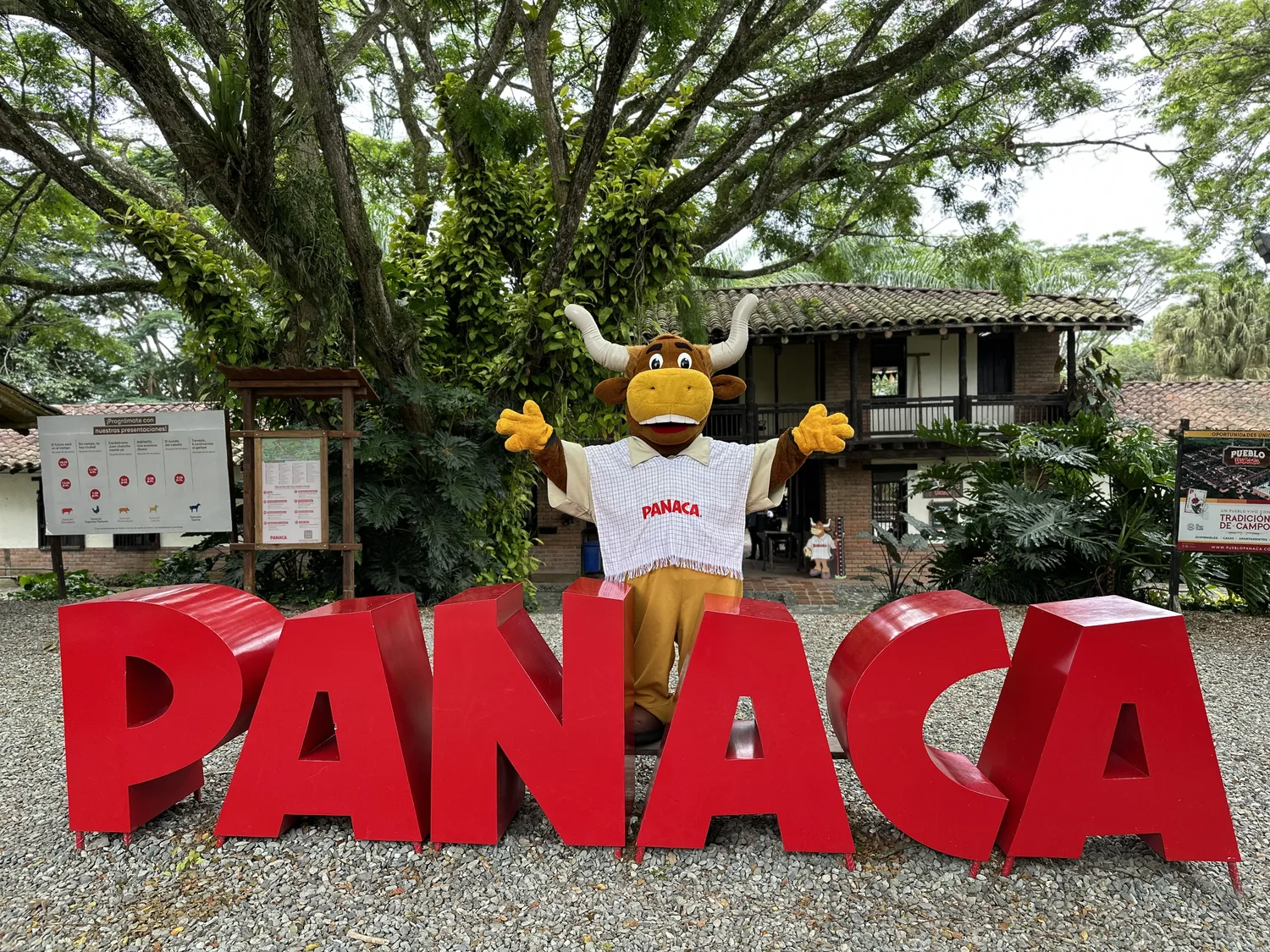 PANACA